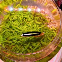 آکواریوم تنگ