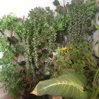 گیاه مصنوعی