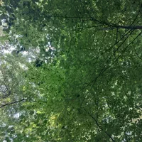 تدریس خصوصی کلاسهای اول تا چهارم ابتدایی