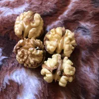 گردوی کاغذی