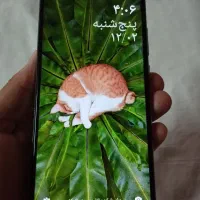 گوشی شیایومی|موبایل|مشهد, آیت الله کاشانی|دیوار