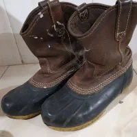 بوت|کیف، کفش، کمربند|نیشابور, مازول|دیوار