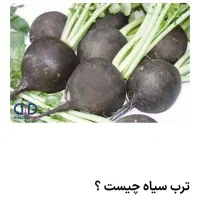 ترب سیاه