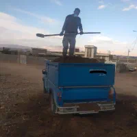 کود گوسفندی