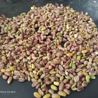 مغز پسته|خوردنی و آشامیدنی|ماهان, |دیوار