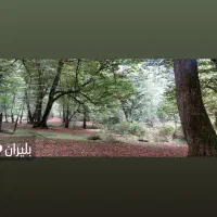 زمین فروشی محمداباد