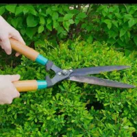 باغبانی کامل،هرس،پابرداری،کوددهی سم پاشی وغیره