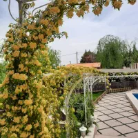 باغ ویلا ۱۰۰۰ متری سند تک برگ آب برق گاز کنتور