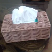جادستمال کاغذی
