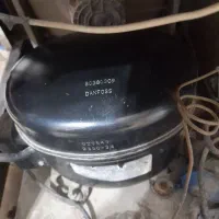 یخچال ویترینی|فروشگاه و مغازه|شاهین دژ, |دیوار