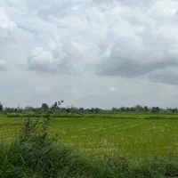 ۳۶۰ مترخانه محوطه/۱۹۰۰مترشالیزار/با انشعابات|فروش زمین و ملک کلنگی|فومن, |دیوار