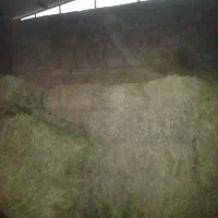 یونجه چین دو وسه|لوازم جانبی حیوانات|شاهیوند, |دیوار