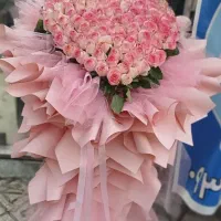 فروش رز هلندی