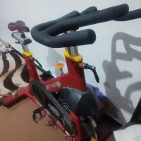 دوچرخه ثابت