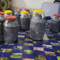 خرما له شده|خوردنی و آشامیدنی|سیب و سوران, |دیوار