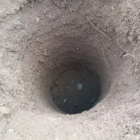 چاله کن|خدمات باغبانی و درختکاری|سروآباد, |دیوار