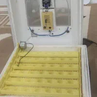 سلام  یک دستگاه جوجه کشی|ماشین‌آلات صنعتی|منوجان, |دیوار