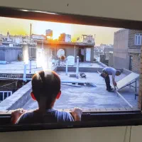 تلویزیون ایوولی 55 اینچ