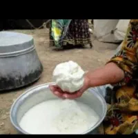 کره گاوی|خوردنی و آشامیدنی|شیراز, تندگویان|دیوار