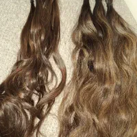 مو. اکستنشن