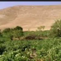 فروش ۱۰۰۰ متر باغ انگور