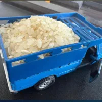 فروش 1800 کیلو برنج کامفیروزی