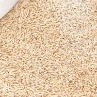 جو چهار پر تمییز