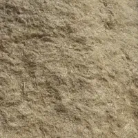 کاه دیمی کمباین