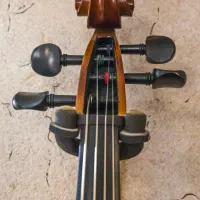 ویولنسل / ویلنسل / ویولونسل / چلو|ویولن|شیراز, گلکوب|دیوار