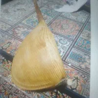 دوتار مقامی جامی