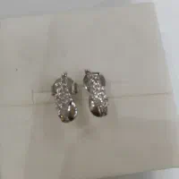 گل گوش نقره