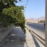 فروش یا معاوضه باغ اسلامیه (تفت) لب جاده اصلی