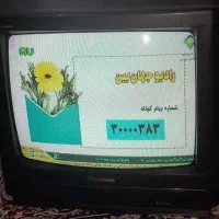 تلویزیون۲۱اینچ پاناسونیک سالم وبدون خط وخش۳۰۰|تلویزیون و پروژکتور|مشهد, طبرسی شمالی|دیوار