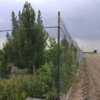 اجاره باغچه محصورجهت مشاغل مناسب*گلخانه*ضایعات. .|اجارهٔ دفتر صنعتی، کشاورزی، تجاری|محمدشهر, محمدشهر|دیوار