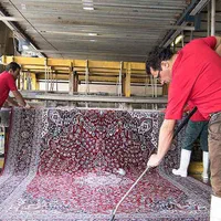 قالیشویی وپتوشویی|خدمات نظافت|بروجرد, |دیوار