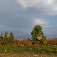 فروش زمین