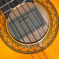 گیتار یاماها c70