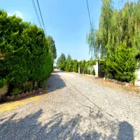 سرایدار