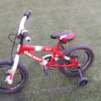 دوچرخه|دوچرخه، اسکیت، اسکوتر|ارجمند, |دیوار