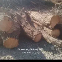 خریدار چوب های مصالحی، ضایعاتی،