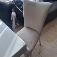 میز نهارخوری ۶ نفره|میز و صندلی غذاخوری|قشم, |دیوار