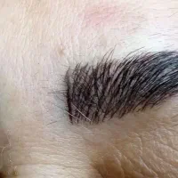 آرایش دائم|خدمات آرایشگری و زیبایی|رضویه, |دیوار