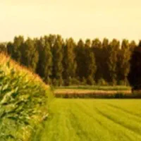 فروش زمین کشاورزی