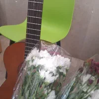گروه حرفه ای سوپرایز آونگ
