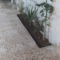 خانه ویلایی|فروش خانه و ویلا|رشت, جانبازان|دیوار