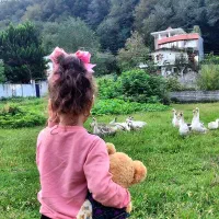 ویلا جنگلی سه خواب تمیز / وای فای رایگان