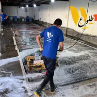 قالیشویی طلوع تهرانپارس|خدمات نظافت|تهران, تهرانپارس غربی|دیوار