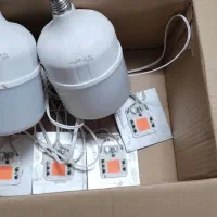 لامپ رشد گیاه