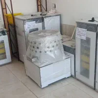 نمایندگی فروش دستگاه جوجه کشی هدایت