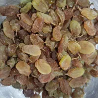 کشمش پلویی